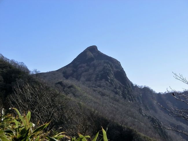 今日は岐阜県揖斐川町と福井県池田町の境にある冠山（かんむりやま。1257ｍ）に登ってきました。実は昨年11月に初めて登りましたが、その日はガスがかかって展望どころか冠山の頂上の形も下からは見えなくてがっかりした記憶があります。さいわい今日は絶好の晴天で登山には最適です。<br /> <br />岐阜県揖斐川町の「ムダなダム」として有名な徳山ダムがある徳山湖に沿って国道417号線を福井県に向かって北上します。車がほとんど通らない国道ですが、ダムの予算で造った国道ですから高規格道路です。トンネルの連続です。徳山湖の北の端あたりで国道は中断して（国道417号線は福井県池田町で突然復活して日本海方面へと向かいます）、突然細い山道になります。そこには「冬季通行止め」のゲートが設けられていました。道路が凍結したり積雪があるからでしょう。でも今日は暖かいので凍結はないと思い、ゲートを動かして進みました。先ほどまでの国道とは大違いで、路肩が崩れたり水が流れていたりと荒れています。進むにつれて冠山の頂上部が見えてきました。初めて見る姿です。やはりスパッと切れ落ちた山頂部には登山意欲をかきたてられます。家を出て4時間かかりました。<br /> <br />県境の冠峠に着くと岐阜ナンバーの車が一台あり、すでに登って行ったようです。わたしもすぐ出発しました。登山道は夜間は凍結していたようで、日差しでぬかるんでいましたが、所々に粉雪や氷、霜柱が見られました。小さなピークがいくつかあり、登ったり下ったりの繰り返しです。ここは県境の尾根歩き道で、右は岐阜県、左は福井県で、分水嶺でもあります。足羽川は福井県を貫き日本海へ流れ、揖斐川は岐阜県を貫き太平洋へと流れます。ウソの♂♀が2羽いました。この鳥は花芽を食べるので害鳥とされていますが、今は木の実などを食べているようです。葉は落ちてしまい殺風景ですが、遠くに白い白山が見えて軽快に足は進みます。途中で下山してくるカップルに出会いました。先ほどの車の持ち主のようです。頂上からの展望はどうでしたかと聞いてみると、かれらは「壁が凍結していて危険でギブアップしました」と言い、悔しそうに下っていきました。<br /> <br />歩き始めて1時間で最後の急斜面の壁下に着きました。ここにはササで覆われて冠平と呼ばれる平地があり、気持ちのよい場所です。もちろん冬季には深い積雪に覆われて、過去には大きな遭難事故も起きています。さて、いよいよ最後の壁をほぼ垂直に登ります。この壁にはいつも水が流れていて滑って危険です。今日はそれが凍結していてつるつるになっています。足をかけましたが滑って登れません。縁のササにつかまったり、少しでも尖った岩を見つけてそこに足を載せて滑り止めにしたりして一歩一歩時間をかけて慎重に登ります。固定ロープがありましたが、それも崖に凍り付いてしまって剥がすのに苦労します。滑り落ちれば止まるところがないので、そのまま転落、即死です。電波は通じないし、他には登山者がいないので事故が起きれば大変なことになります。怖い、怖い、と言いながら30分かけて壁を登り詰め、なんとか頂上に着きました。そこは天国です。太陽の光ははさんさんと降り注ぎ、周囲360度の大展望です。岐阜県側はやはりスパッと切れ落ちていて、これまた転落すればひとたまりもありません。恐る恐る下を覗いては、「怖い、怖い」の連発でした。のんびりとランチを楽しみました。ウソの声がまた聞こえます。いつまでもここにいたいのですが、帰宅には下山と運転で5時間はかかるため切り上げます。<br /> <br />下りはいっそう滑りやすくて危険です。登り時よりも注意をして慎重に慎重に一歩ずつ足を運び、なんとか無事に冠平まで下りました。こんな経験はもうこりごりです。次回はもっと暖かいときに来たいものです。冠平を歩き回ってから下山路を急ぎました。<br /> <br />今日登頂したのはわたしひとりでした。360度の一級の展望を独り占めできました。