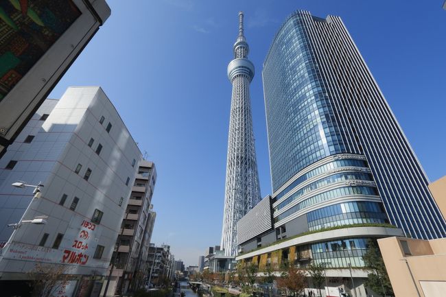 №２は、東京・横浜です。<br /><br />東京スカイツリー、5～6年前にまだ出来上がっていない時に行ったのですが、その時のスケールの大きさが忘れられず、再訪となりました。<br />すごいの一言です。今回は、展望デッキや展望回廊まで行ってきました。<br />上から見る景色も圧巻です。<br />また孫には、今年は夏に白浜温泉で会ってはいるのですが、家内は特に楽しみの様でした。15：30ＪＲ鶴見駅集合です。<br /><br />2日目の行程を紹介します。<br /><br />2日目　鎌倉プリンスホテルを出発、七里ヶ浜駅から江ノ電で鎌倉駅へ。<br />鎌倉からＪＲにて新橋に向かいます。（直通で行けました）<br />新橋からは、都営浅草線にて押上駅へ。<br />駅を出れば、すぐスカイツリーに出会えます。<br />見学後、再び都営浅草線にて新橋へ、ＪＲに乗換え今日の宿泊場所の川崎へ。<br />一旦、宿泊先の川崎日航ホテルにチェックインし、孫たちとの待ち合わせ場所ＪＲ鶴見駅に向かいました。<br />合流して、三渓園を見学、そしてキリンビール横浜工場にてバーベキューの夕食をとり、息子の自宅へ。<br />孫たちとの楽しい時間を過ごし、ホテルへと戻りました。<br /><br />№3では、横浜から夜の東京スカイツリー、そして小江戸川越を紹介します。<br />是非ご覧ください。