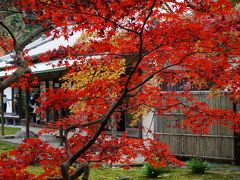 鎌倉　長寿寺の紅葉
