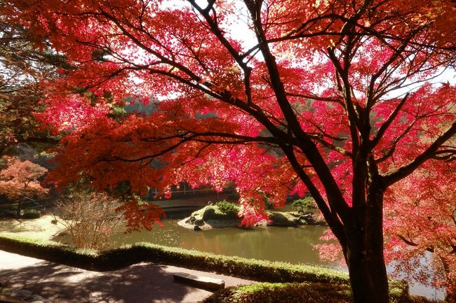 修善寺温泉街までせっかく来たので虹の郷まで足を運んでみた。　あまり期待はしてなかったが、それなりに見ごたえはあった。