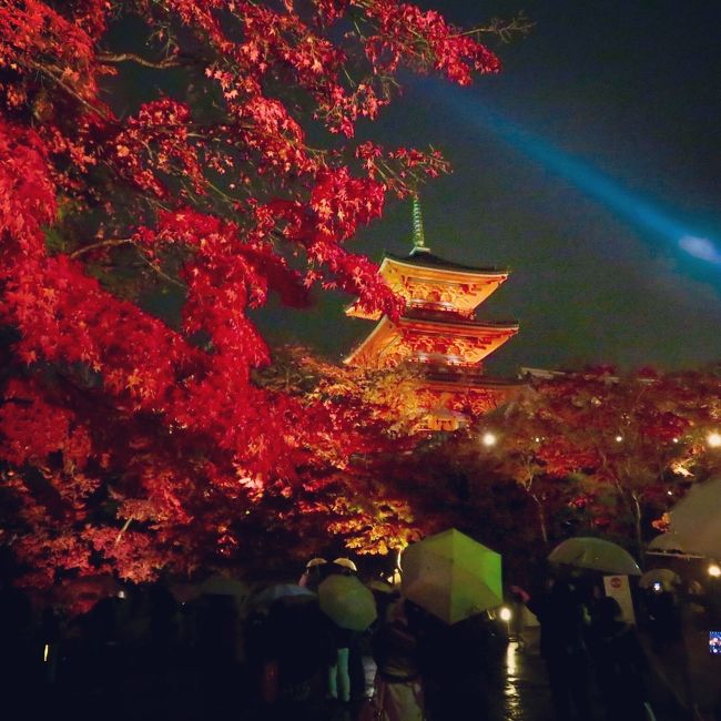 先日行ったソウルの紅葉も素敵でしたが( http://4travel.jp/travelogue/11186335 ) 、やっぱり日本の紅葉も観ておかなきゃね～♪<br /><br />11月最終週末に、京都の紅葉と寺社巡り(御朱印)を目的に、女友達と一泊で京都に行ってきました。<br /><br />観光客の多さに驚く一方、秋の京都の素晴らしさを再認識した今回の旅。<br />ほぼ紅葉の写真集のような旅行記になってますが、美しい日本をお届け出来たら幸いです。<br /><br />【前編】は、高台寺、圓徳院、清水寺のライトアップ紅葉をまとめました。<br />【後編】は、紅葉スポットの東福寺、永観堂の圧巻の紅葉の様子を、更に特別拝観の霊鑑寺や安楽寺など東山界隈を中心にまとめました。<br />https://4travel.jp/travelogue/11216658<br /><br />《表写真》清水寺の三重塔