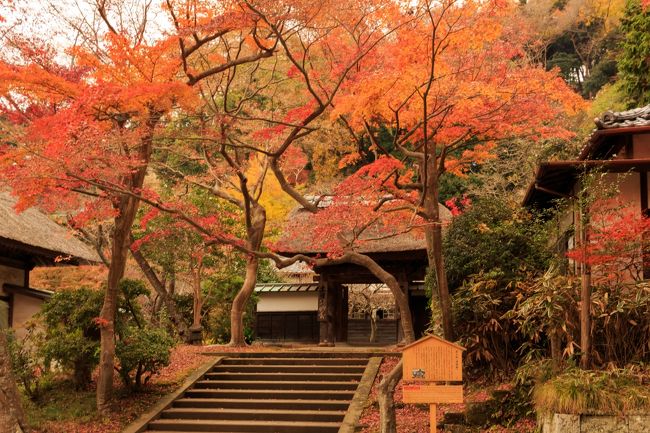 紅葉を愛でに鎌倉へ～円覚寺・建長寺・（長寿寺）～