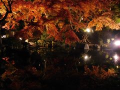 鎌倉２０１６紅葉　【２】長谷寺