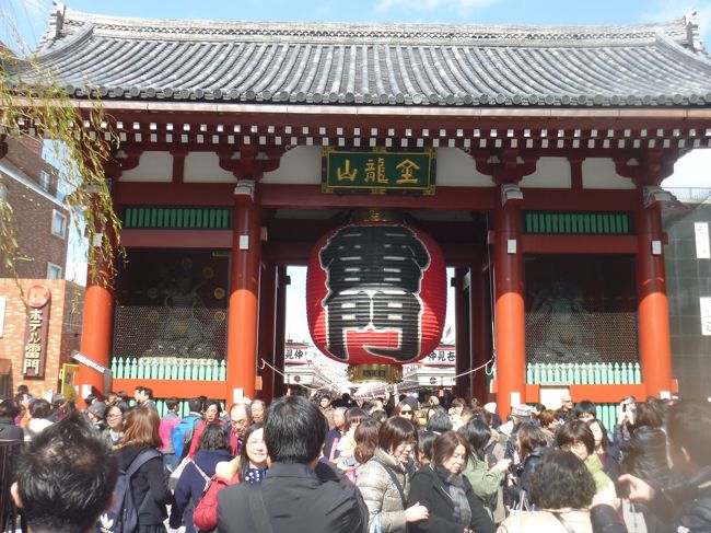 浅草浅草寺を巡ってきました。