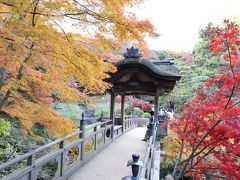 横浜の紅葉の名所：三渓園