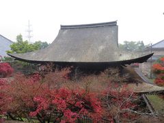 国宝功山寺で今年最後の紅葉？