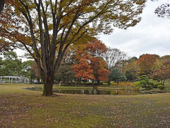 中央公園の紅葉　2016.11.21