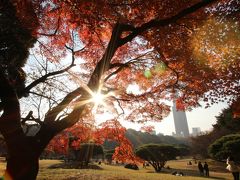 薄曇りの中で３色に輝く新宿御苑の紅葉ハイシーズン2016（後編）下の池の水鏡の世界から日本庭園入口付近と新宿門の紅葉トンネルまで