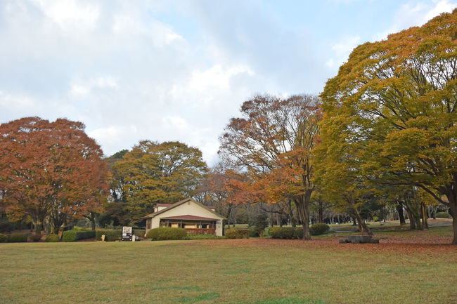 広見公園の紅葉&amp;黄葉を見て来ました。<br /><br />★富士市役所のHPです。<br />http://www.city.fuji.shizuoka.jp/