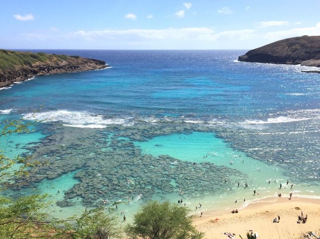 新婚旅行でハワイに行ってきました。<br />お互いに海外旅行経験はほぼなし、いろんなブログなどで勉強させてもらって何とか予約。<br />Air、ホテル共に個人手配です。ハワイならなんとかなるもんだ!<br /><br />2016年11月3日~11月9日の5泊7日<br /><br />AIR JAL羽田⇔ホノルル<br />HOTEL ヒルトンハワイアンビレッジアリイタワー3日間<br /> ハレクラニ 2日間<br /><br />行ったところ<br />パールハーバー<br />ハナウマ湾<br />アラモアナセンター<br />ワードセンター<br />カハラモール(ホールフーズ)<br /><br />
