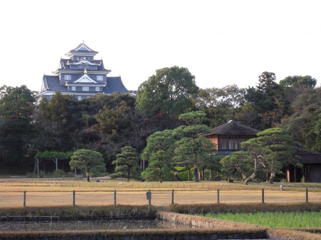 いよいよ最後の岡山編です｡<br />昼前の新幹線で帰京するため早朝から行動します（汗)<br />といってもこういった観光目的はどれだけ早くても苦になりません(笑)<br />素晴らしい紅葉とお城が見れてバタバタ旅行記もお腹一杯の旅になりました｡