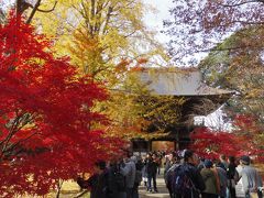 紅葉の九品仏浄真寺は、アド街効果で参拝者がいっぱい！