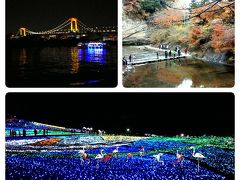 バス旅　養老渓谷、東京ドイツ村イルミネーションと東京湾夜景クルーズ