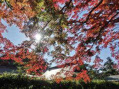 鎌倉の紅葉　建長寺（その１）