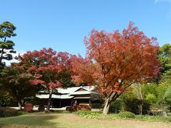 皇居東御苑と二の丸庭園の紅葉_2016_見頃を楽しみました。（東京都・千代田区）