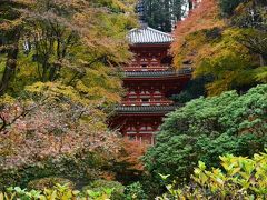 2016.11　京都　晩秋