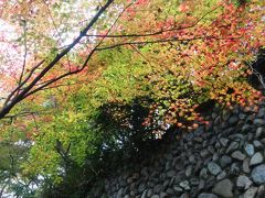 2016年11月晩秋、初めての深大寺。