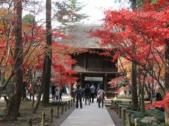 新座市　平林寺　　念願の紅葉寺は平日も人でいっぱい！　癒しの雑木林にどっぷり浸った3時間