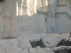 上野動物園-4　東園　ホッキョクグマ　水中遊泳も見せ　☆リフレッシュ施設で