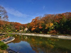 2016紅葉（11） リトルワールド【野外民族博物館】・今年最後の紅葉