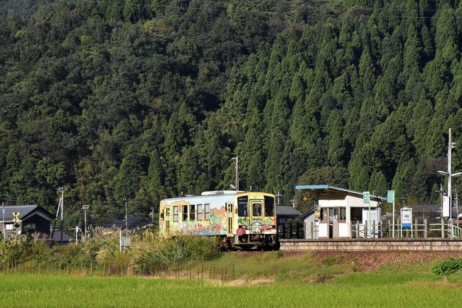 北陸新幹線が金沢まで延伸し、身近になった北陸・若狭エリアを訪ねます。<br /><br />JR東日本「大人の休日倶楽部」会員限定発売の「北陸フリーきっぷ」は、北陸新幹線・在来特急が利用でき、多客期を除き4日間有効、値段が22,000円です。<br />JR西日本エリアの富山・金沢・福井だけでなく、若狭の小浜まで行けるので、大変おトクなきっぷです。<br /><br />今日は東京を朝一の金沢行き新幹線に乗り、福井の養浩館（ようこうかん）庭園、郷土歴史博物館の特別展「福井の仏像」、戦国大名朝倉氏の城下町だった一乗谷（いちじょうだに）の遺跡を訪ねます。<br /><br />写真は山深い一乗谷駅に停車するローカル列車です。<br />