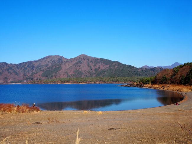 今週末の天気が期待できそう♪<br /><br />「富士山の見える山　ベストコース45」のガイドブックを見て、去年12月にガスで何も見えなくて中途撤退した竜ヶ岳に行って来ました。<br />４時間位でお手軽に南アルプスや八ヶ岳などの大展望が見れるのでいい感じの山です♪<br />あんなに雪に埋もれた南アルプスを一望できる山並み、望遠レンズを持ってきて良かった♪<br />登った山だけしかわかりませんが、雪があると山名がわかって楽しかったです。<br />次回はダイヤモンド富士に是非チャレンジと！<br /><br />≪カーナビ≫本栖湖キャンプ場<br />≪アクセス≫中央道河口湖IC下車、一般道15キロ<br /><br />