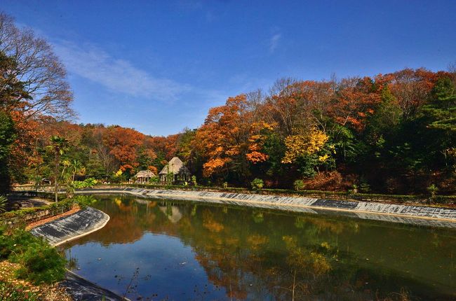 リトルワールド【野外民族博物館】にて、<br />2016.11.20-2016.12.03紅葉を楽しみに<br />2016.11.20は<br />第9回啓明舎祭・駄知公民館まつり<br />　　　　　　　http://4travel.jp/travelogue/11192337<br />観終えて土岐市から愛知.犬山市へ<br />アルゼンチンサーカスが最終日なので観に立ち寄りました・<br />時間から紅葉に要するの難しく<br />再度となるのでしょうか、2016.12.03医者で2時間以上の待ちで<br />急いで、近くのリトルワールド一回りしての紅葉です・<br /><br />紅葉は、いい時期に来れなかった二日間。<br /><br />今年は、これで紅葉は最後なりましたが<br />今年の最後の紅葉は、紅葉の見頃を越え<br />色あせ落葉気味だけど<br />古くから人の心を和ます光景<br />秋は一年で一番いい時節を逃した感。<br />過去何十年と欠かさず毎年滋賀の紅葉行きましたが<br />今年は、親の介護と孫を見ますので・・・。<br />遠くは、行けれなかったが<br />来年は、しっかり時間管理して臨みたいと願います。<br />------------------------------------------------------<br />会場名　　　野外民族博物館リトルワールド<br />料金　　　　別途リトルワールド入館料が必要<br />　　　　　　大人1,700円、小中学生600円、3歳以上300円<br />問い合わせ先<br />　　　　　　野外民族博物館リトルワールド 0568-62-5611<br />URL　　　　http://www.littleworld.jp/<br />住所　　　　犬山市今井成沢90-48<br />アクセス　　公共: 名鉄「犬山」駅よりバスで約20分<br />　　　　　　車: 中央道「小牧東」ICより<br />　　　　　　　　尾張パークウェイ経由で約10分<br />　　　　　　駐車場: 1200台 (料金800円／1日)<br />----------------------------------------------------------<br /><br />■■■■■■■　2016　紅葉散策　■■■■■■■■■■■■■　　　<br /><br />2016紅葉（1） 紅葉前線を探して「飛騨美濃せせらぎ街道」<br />2016紅葉（2） 水面に映る「逆さ紅葉」・曽木公園の紅葉<br />　　　　　　　http://4travel.jp/travelogue/11191538<br />2016紅葉（3） 多治見・虎渓山永保寺の紅葉<br />　　　　　　　http://4travel.jp/travelogue/11191818<br />2016紅葉（4） 源朝長の菩提寺・円興寺<br />　　　　　　　http://4travel.jp/travelogue/11190332<br />2016紅葉（5） “美濃の正倉院”両界山横蔵寺<br />　　　　　　　http://4travel.jp/travelogue/11190072<br />2016紅葉（6） 東海一の紅葉...香嵐渓の紅葉<br />　　　　　　　http://4travel.jp/travelogue/11193702<br />2016紅葉（7） 花フェスタ記念公園の紅葉<br />2016紅葉（8） 四季桜と紅葉のコラボ 　川見四季桜の里<br />　　　　　　　http://4travel.jp/travelogue/11194323<br />2016紅葉（9） 名古屋の奥座敷・定光寺の紅葉<br />2016紅葉（10）紅葉を愛でながら博物館明治村散策<br />　　　　　　　http://4travel.jp/travelogue/11194753<br />2016紅葉（11）リトルワールド【野外民族博物館】の紅葉<br />　　　　　　　http://4travel.jp/travelogue/11195936