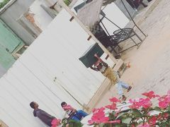 アライバルビザ情報