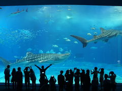 楽しんだぜ！！　２０１６　沖縄県　『この日も天気が良かった♪美ら海水族館でジンベイザメ♪球屋の車えび料理はすごくおいしかった♪』　ＩＮ　美ら海、宜野座