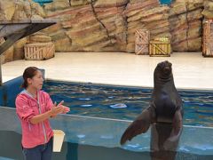 鳥羽水族館に水族館ガールを探して