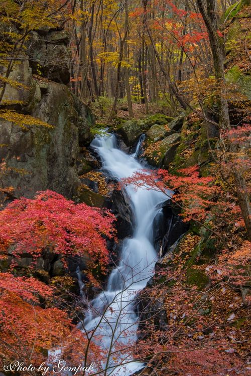 今年最後の紅葉は福島県最南端の秘境、滝川渓谷へ、おまけに大子町の