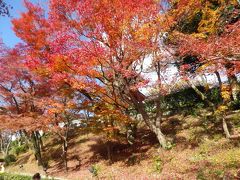 京都ちゃっかり同行旅行