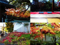 今年の紅葉巡り3週目　祇園界隈でビフォーアフターの紅葉巡り【11月26日】