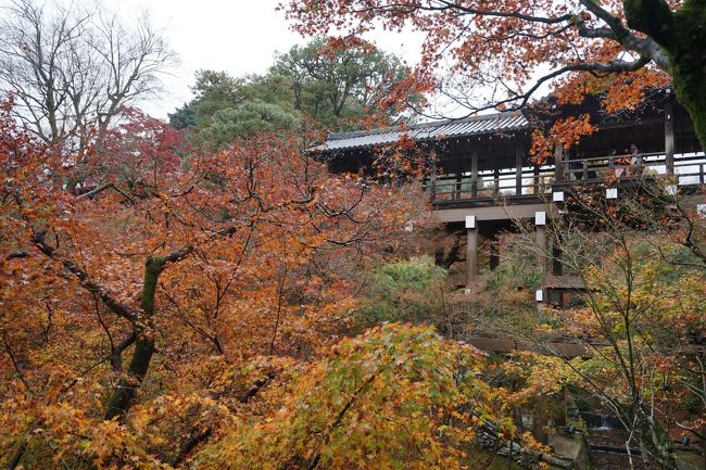 紅葉と若冲の京都の旅の2日目です。<br />大津のホテルを出て、京都随一の紅葉ともいわれる「東福寺」へ。毎年訪れている紅葉の京都ですが異常な人出となるこちらへは7年振りの訪問です（7年前は、紅葉の京都に10連泊し名所を廻りました）。<br />