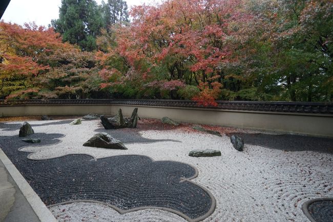 通天橋からの紅葉を満喫した後は、この時期だけ公開されていることも多い東福寺の塔頭を廻りました。京都五山の第四位の禅寺。明治の廃仏毀釈で規模が縮小されたとはいえ、今なお25か寺の塔頭があるそうです。<br />　今回訪れたのは、「即宗院」「龍吟庵」「一華院」「同聚院 」「盛光院」「勝林寺」です。うち 「一華院」「盛光院」は初参拝でした。