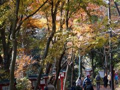 高尾山観楓登山