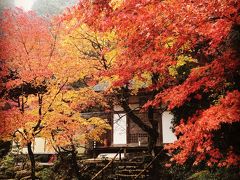 湖東三山の紅葉と日本百名城めぐり　滋賀