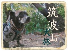 犬旅　～筑波山～