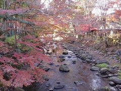 ゆったり和さんぽ・錦秋に染まる修善寺ものがたり