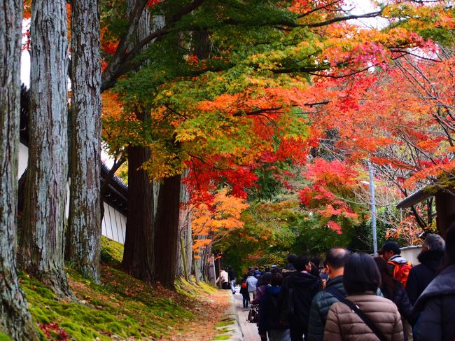 京都・東福寺で西郷隆盛の足跡に出会う