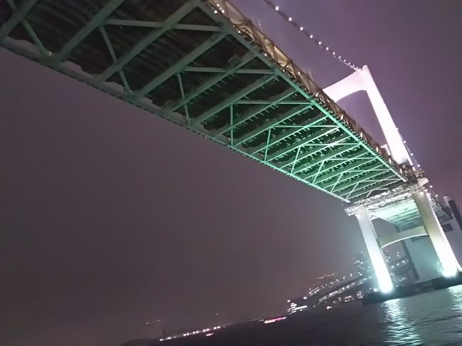 何十年ぶり。東京湾ディナークルーズに東京タワー、隅田川から浅草、柴又帝釈天・・・これは修学旅行コースですね。１日目はディナークルーズ。あいにく雨模様でしたが、船上からの夜景はとてもきれいでした。
