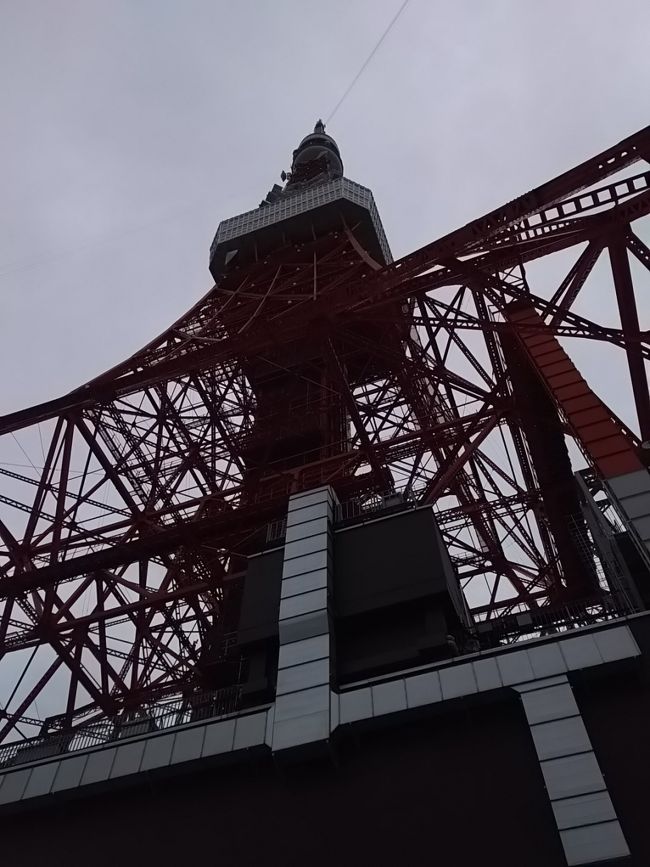 何十年ぶり。東京湾ディナークルーズに東京タワー、隅田川から浅草、柴又帝釈天・・・これは修学旅行コースですね。２日目は東京タワーからスタート。
