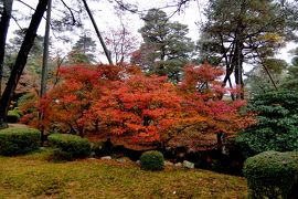 2016.11金沢旅行3－雨の兼六園　帰京