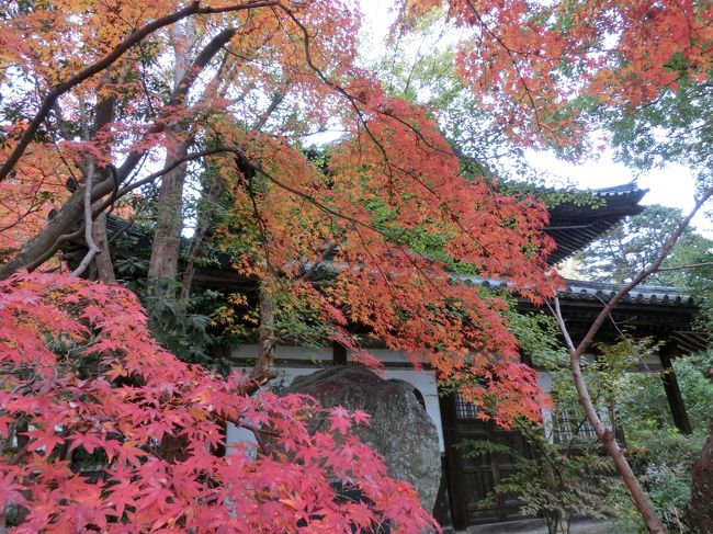 最終日、昨日の夜に訪れた長府を再訪し、その後帰りの時間までの間に他の観光地もいくつか回ってみました。紅葉真っ盛りの長府の城下町は、期待していた以上の美しさでした。
