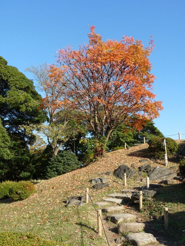 皇居東御苑～二の丸庭園を訪れた日の午後、好天が続いていたので、比較的近くの「浜離宮恩賜庭園」へ行ってみました。<br />紅葉は、ほぼ終わりでしたが、庭園散策には絶好の日和でした。