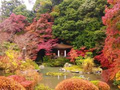 2016年11月紅葉の赤い京都　-毘沙門天＆ランチ-