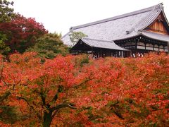 2016年11月紅葉の赤い京都　-　東福寺　-