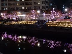 冬の桜 @ 目黒側