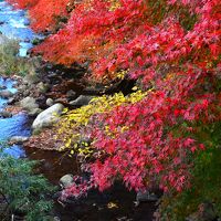 万葉の時代から文豪に愛された地”湯河原”色彩の記憶「紅...錦...翠」