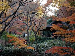 ２０１６　六義園に紅葉を求めて